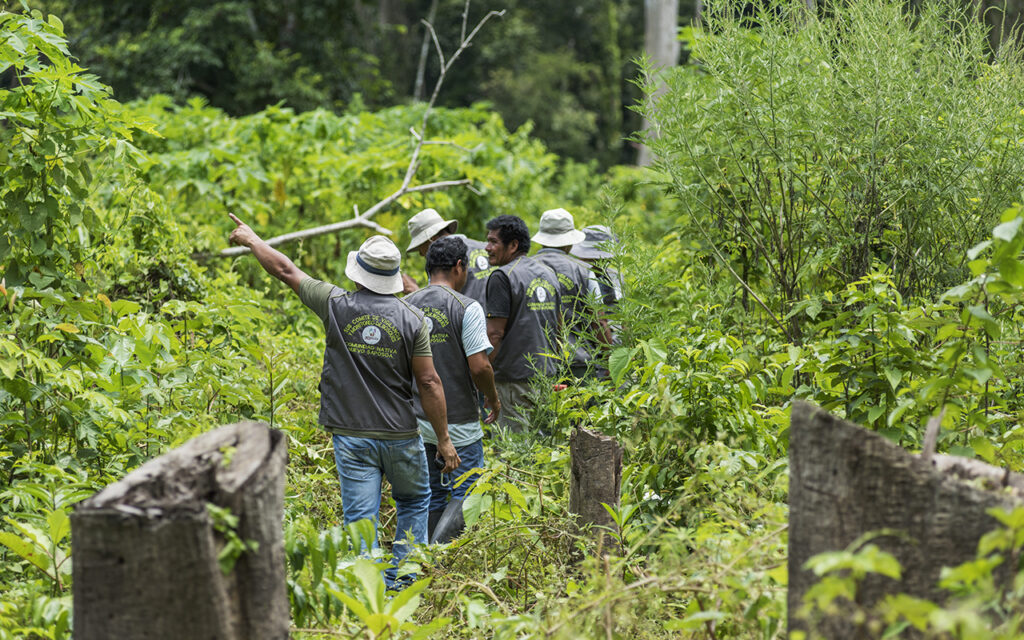 Comités de vigilancia en Ucayali protegen el medio ambiente